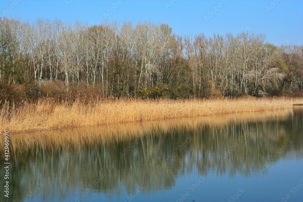 Floodplain forest at Stopfenreuth in Austria, Europe
Floodplain forest at Stopfenreuth in Austria, Europe
