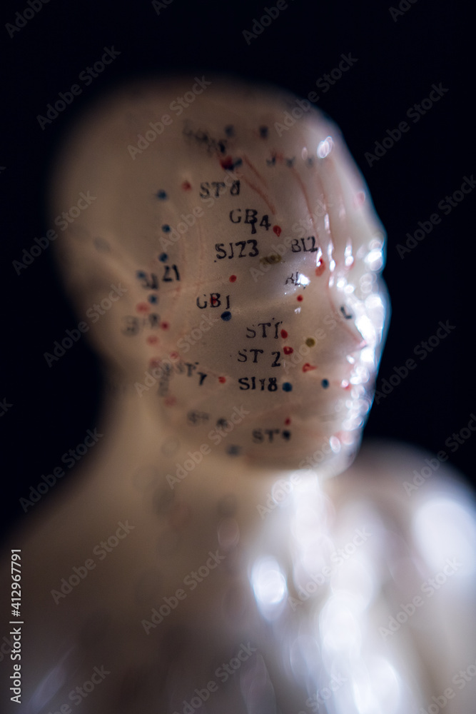 Obraz premium Acupuncture doll 