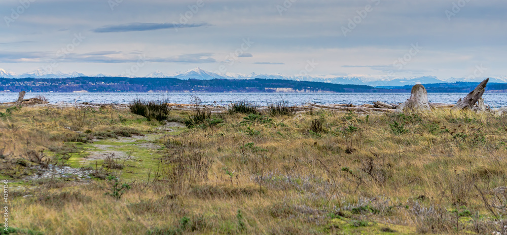 Grass And Mountains 3