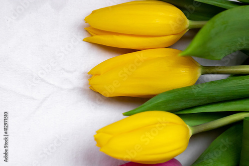 Yellow tulips with green leaves on a white background