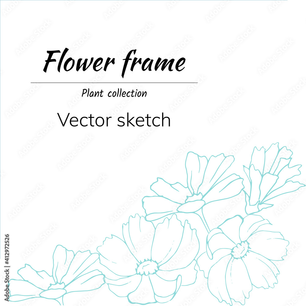 Simple floral banner with contour blue daisies on a white background. Vector sketch