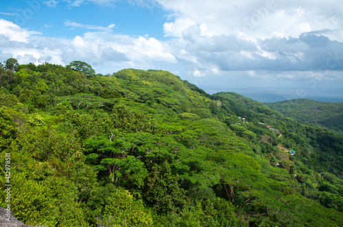 Panoramic view over the forest from the Nid D        Aigles top hill point  with blue sky. La Digue Island  Seychelles