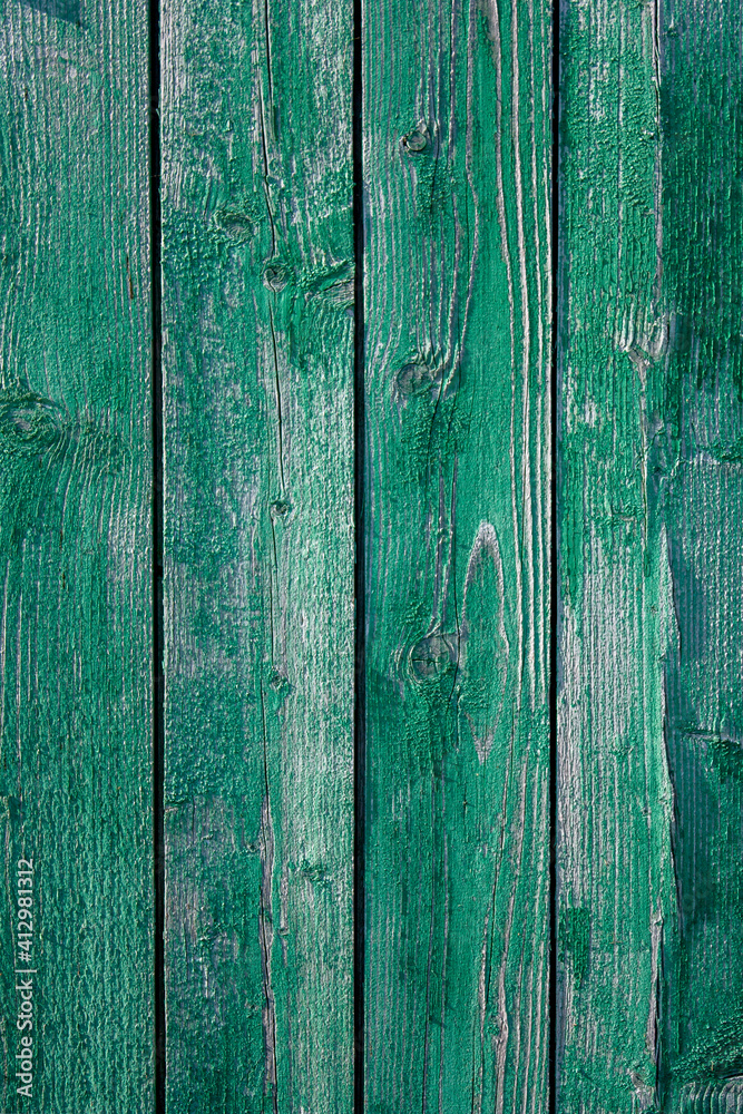 Naklejka premium The vertical planks are nailed to the wall of the shed by rusty nails. the Planks are colored green. Old paint peeling outdoors.