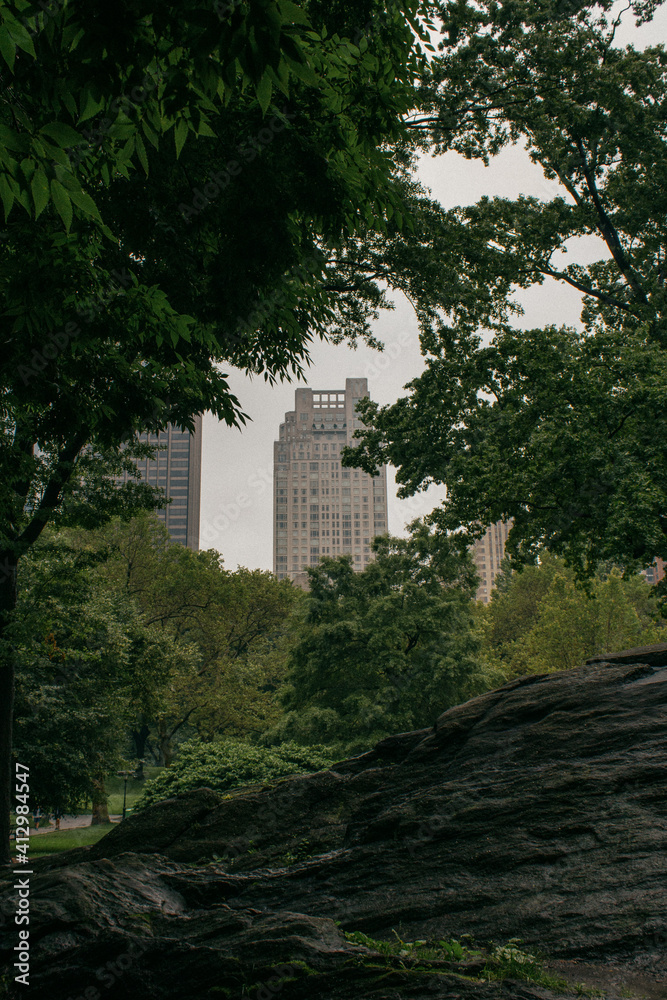 Edificios desde Central Park