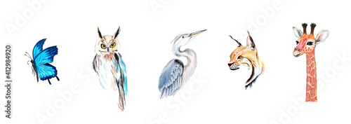 Set of hand drawn watercolor illustration of different animals. Owl, giraffe, lynx, butterfly and heron isolated on white background. 