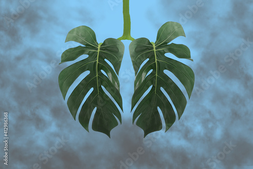 Monstera leaf as lungs shape,surrounded by gray toxic smoke,CO2.Ecology concept of air pollution,harm to human body and environment from smoking,home planting as protection against smog.Copy space photo