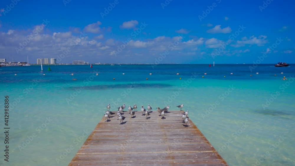 mar del caribe con gaviotas mar del caribe con gaviotas