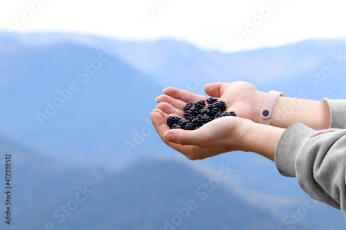 Woman holding many fresh ripe blackberries outdoors, closeup