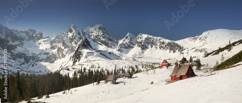 Fototapeta Naklejka Na Ścianę i Meble -  Houses on the background of the Tatras