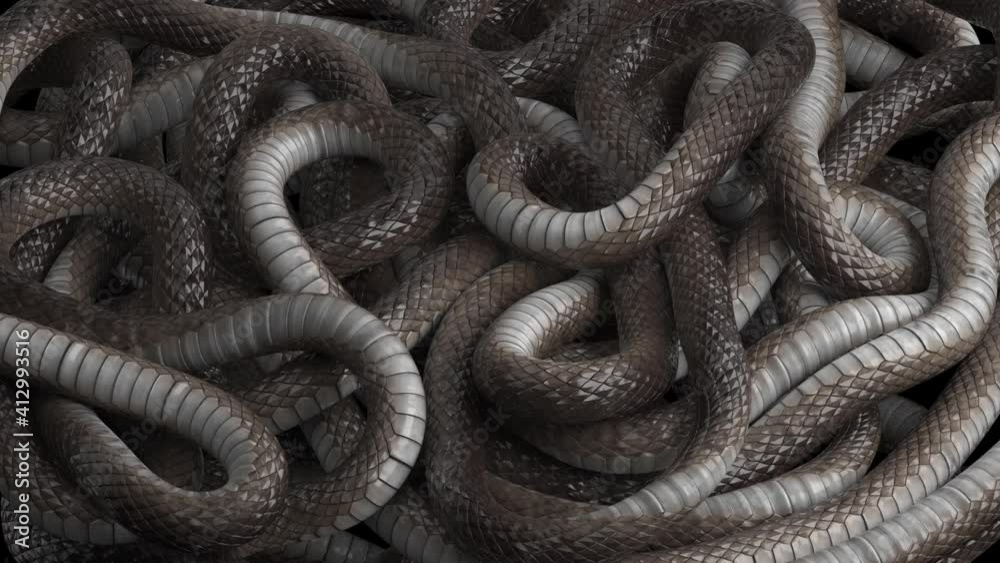 Many snakes crawl over each other. Looping background of wriggling snakes