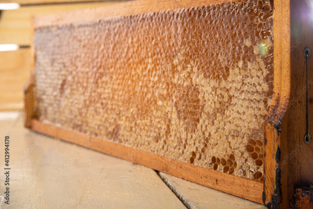 Honeycomb, honeycombs in the wooden frame. Wooden background, selective focus. Honeycomb, honeycombs in the wooden frame. Wooden background, selective focus.