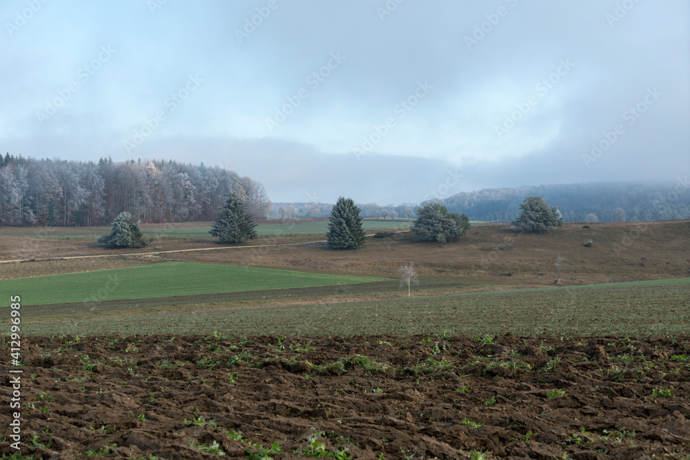 Fototapeta premium Schwäbische Alb bei Altsteusslingen, Landschaft mit Feldern, Bäumen und Wolken bei Frost