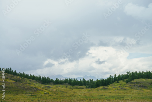 Beautiful green scenery with forest edge on hills against mountains silhouettes on horizon under cloudy sky. Atmospheric mountain landscape with forest hills and silhouettes of mountains in cloudy sky