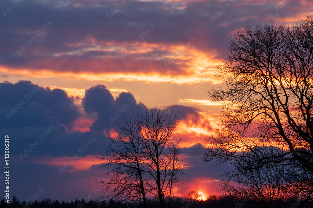 Silhouette of bare trees with burning sly in vibrant colors. Silhouette of bare trees with burning sly in vibrant colors.