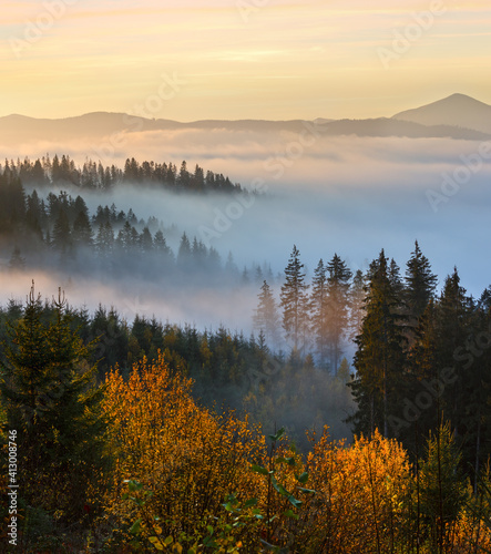 Autumn misty Carpathians, Ukraine.