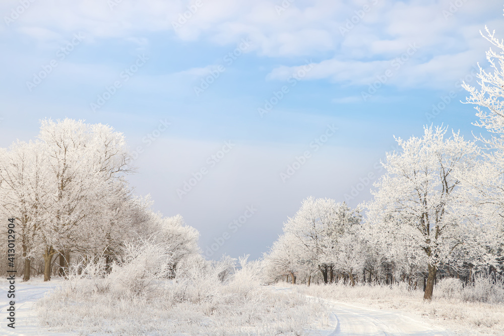 Plants covered with hoarfrost outdoors on winter morning Plants covered with hoarfrost outdoors on winter morning