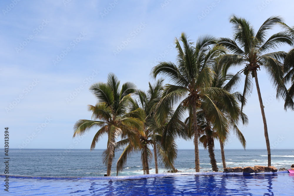 An amazing view of the ocean, palm trees, and the beach from the infinity pool at Los Cabos, Mexico. An amazing view of the ocean, palm trees, and the beach from the infinity pool at Los Cabos, Mexico.