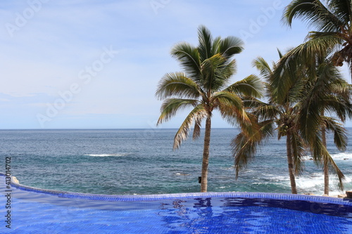 An amazing view of the ocean  palm trees  and the beach from the infinity pool at Los Cabos  Mexico. 