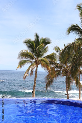 An amazing view of the ocean, palm trees, and the beach from the infinity pool at Los Cabos, Mexico.  © Carla