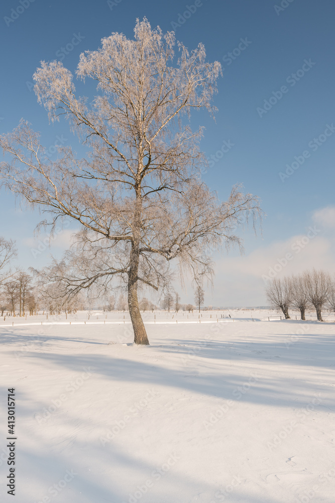 A frosty winter landscape. Poland-Podlasie A frosty winter landscape. Poland-Podlasie