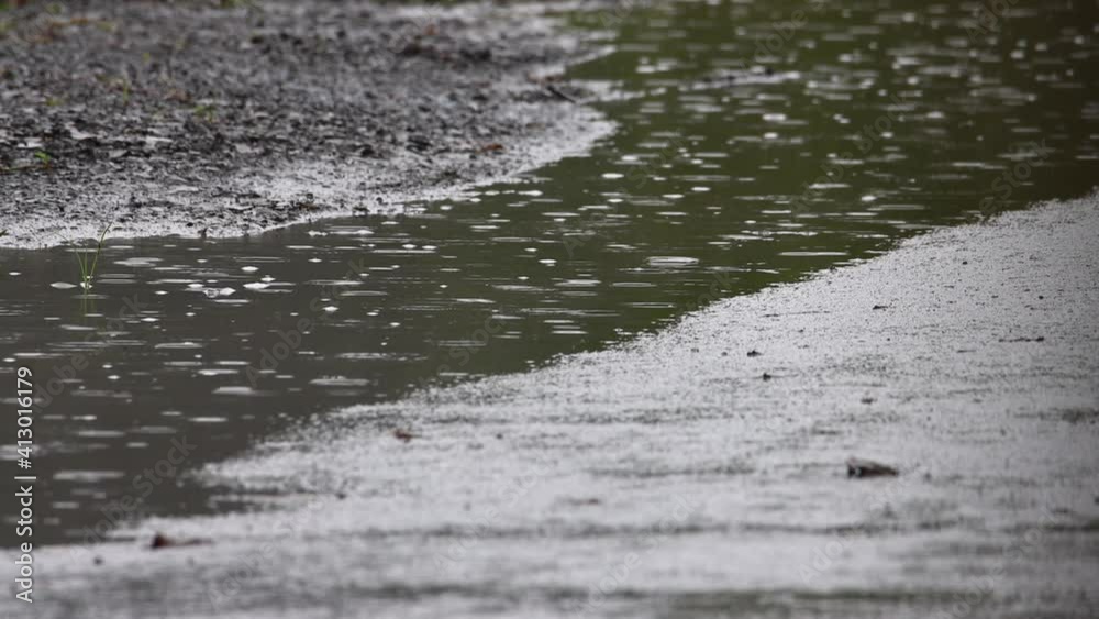 Rain drop splashes hit the asphalt Rain drop splashes hit the asphalt
