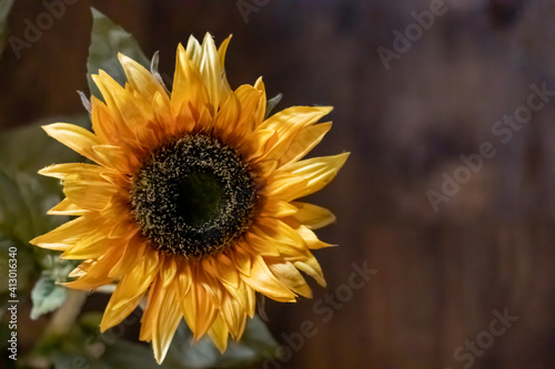 Fototapeta Naklejka Na Ścianę i Meble -  Rustic Sunflower