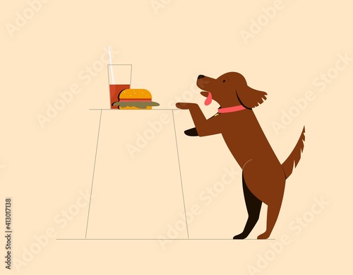 Cute dog trying to steal food from the table. Vector flat modern illustration