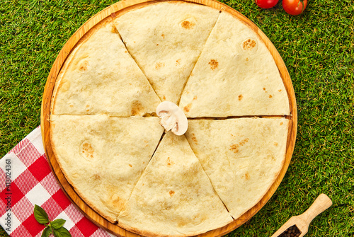 Mexican quesadilla with chicken, cheese and mushrooms on green grass background