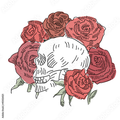 Skull with roses vector doodle. Vector illustration.