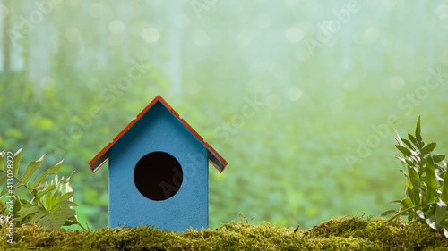 Birdhouse on forest moss. background blurred background © daphnusia
