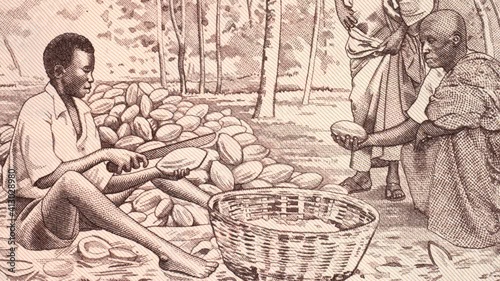 African farmers harvesting cocoa on Ghana 50 cedi (1980) banknote tracking. Ghanaian farm chocolate production. Slider shot