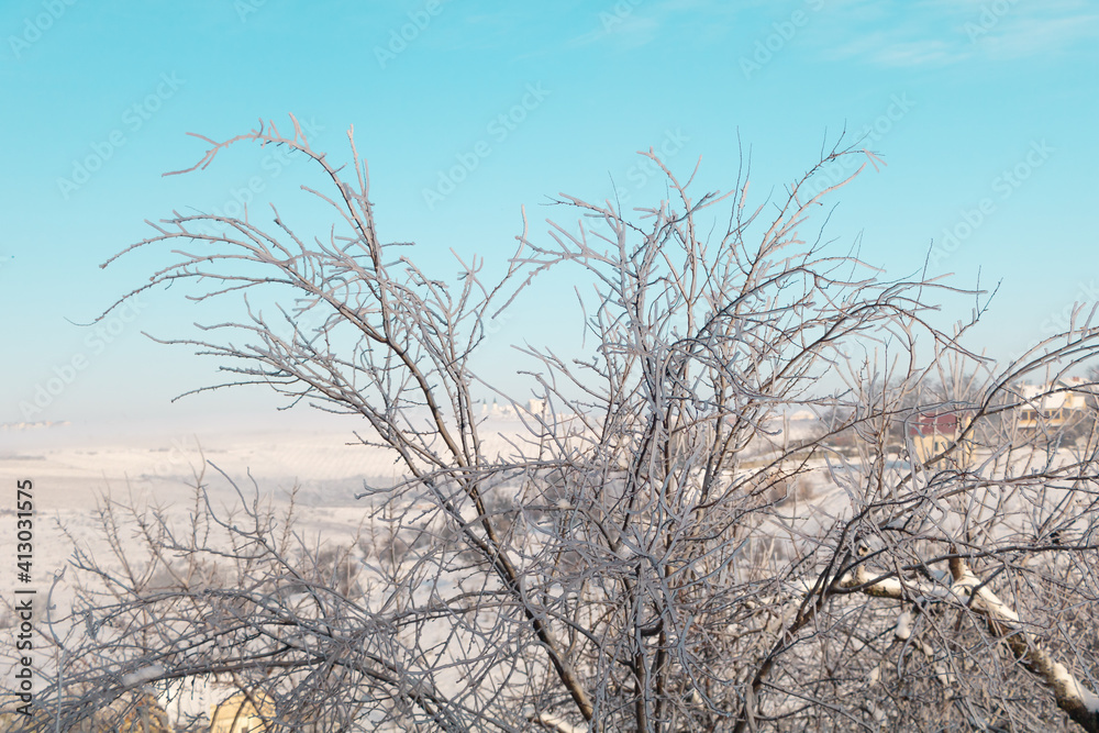 Icicles on a fruit tree with beautiful blue sky. Winter concept Icicles on a fruit tree with beautiful blue sky. Winter concept