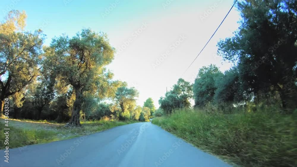 Beautiful countryside nature with olive trees orchards and shimmering sun blue sky, gopro point of view car travel asphalt road POV drive Beautiful countryside nature with olive trees orchards and shimmering sun blue sky, gopro point of view car travel asphalt road POV drive