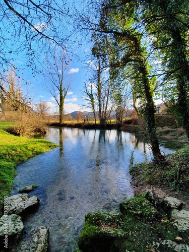 River in the forest. River flowing through countryside.