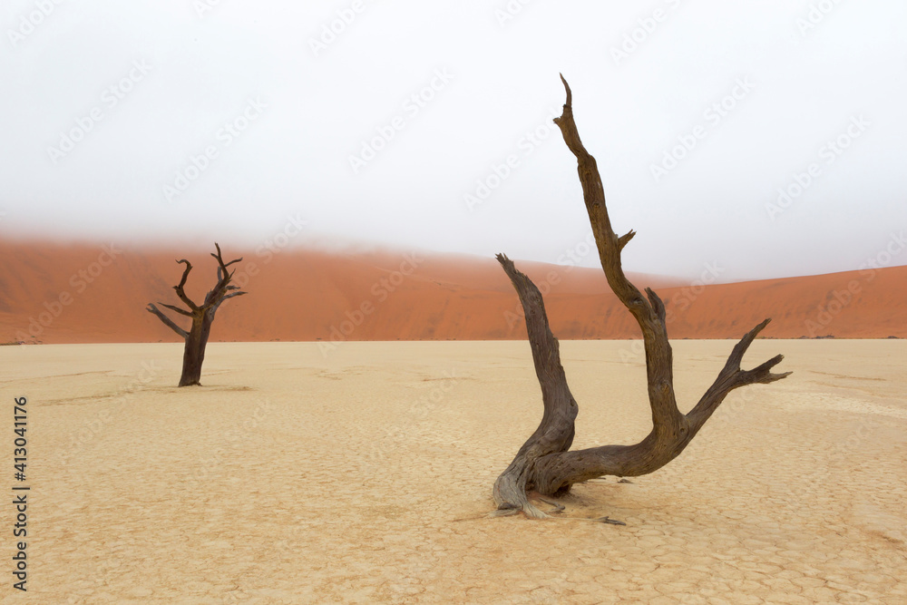 Φωτογραφία Africa, Namibia, Namib Desert, Namib-Naukluft National Park, Sossusvlei, Dead Vlei