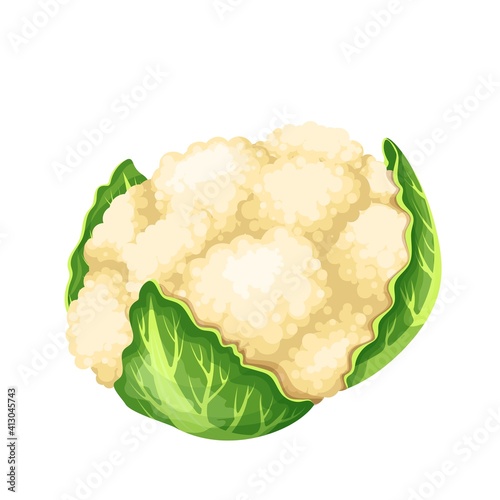 Cauliflower vegetable icon