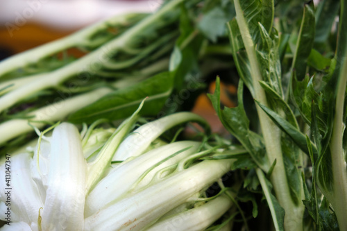 chicory popped up, or -puntarelle-, a classic of Italian cuisine from the Rome area