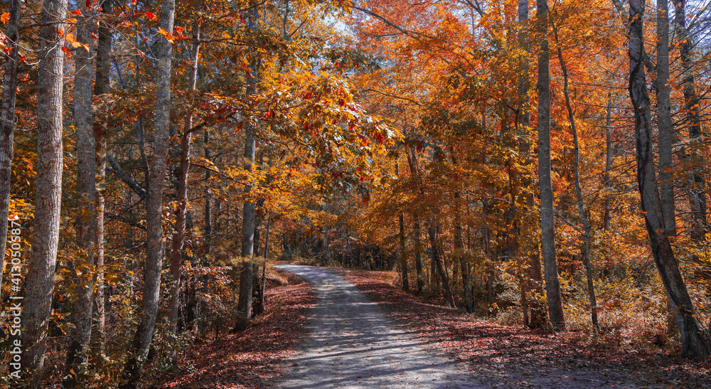 Fototapeta premium The road leading to Indian Boundry Lake in the Cherokee National Forest during the height of the fall colors