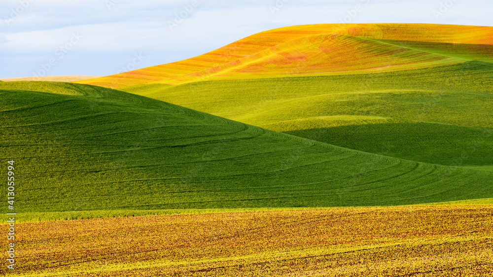 Rolling farmland in the setting golden sunlight of spring highlights the beauty of the Palouse Region of Washington State drawing tourists to witness the scenic wonder