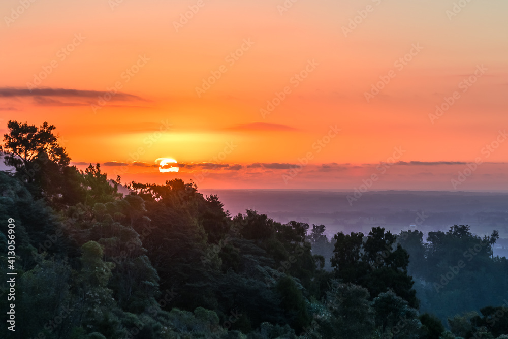 Sunset over the Ocean with forest foreground