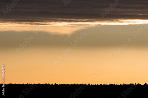 Evening sky with clouds and the outline of the forest. Minimalistic background