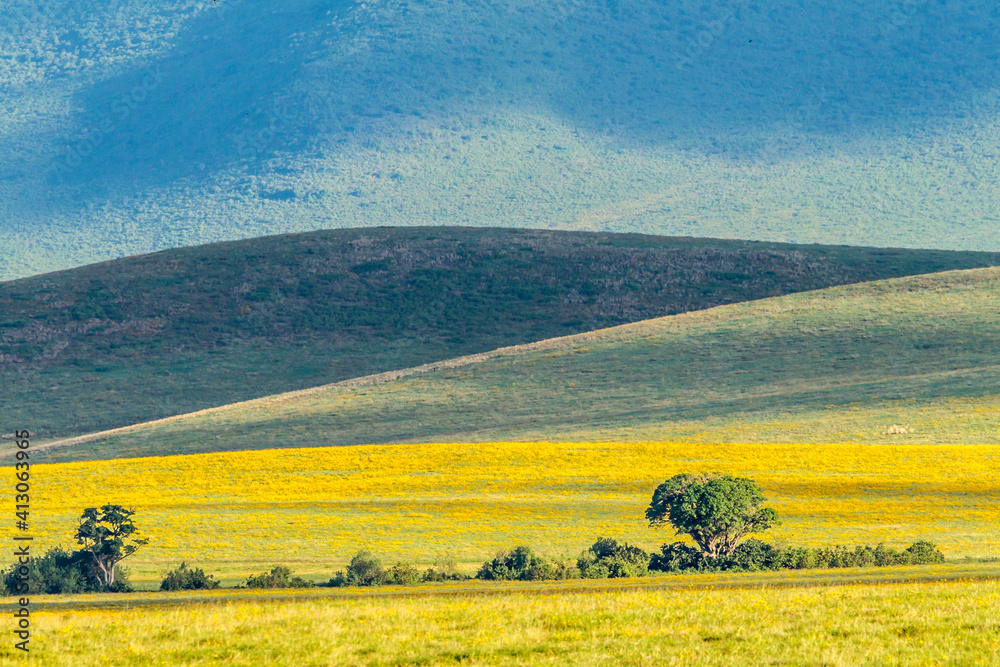 Africa, Tanzania, Ngorongoro Crater. Blooming landscape inside crater.