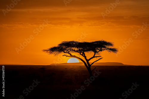 Africa, Tanzania, Serengeti National Park. Silhouette of acacia tree at sunset.