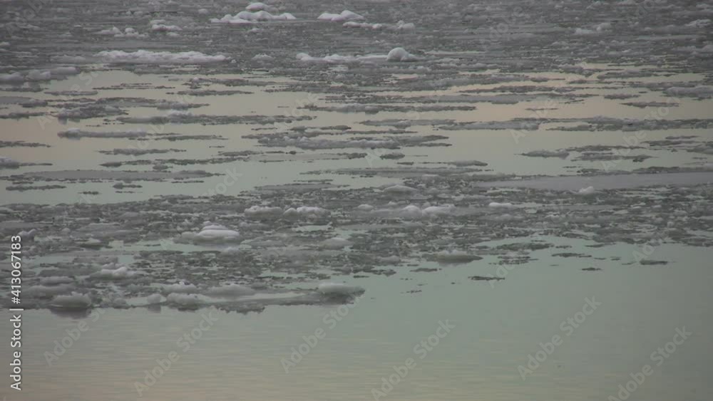 Ice on river. Beautiful winter colours. Fraser River, Vancouver, BC, Canada. Ice on river. Beautiful winter colours. Fraser River, Vancouver, BC, Canada.