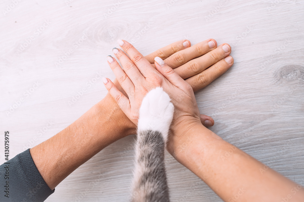 Couple or family hands and cat paw on the top. Human and the animal connection. People and pets friendship, togetherness and trust concept - obrazy, fototapety, plakaty 