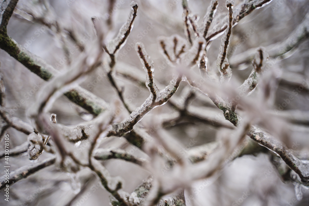 Ice Storm