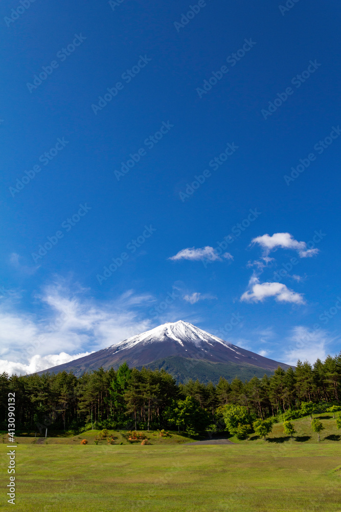 Fototapeta premium 富士山。晴天。穴場スポットからの撮影。