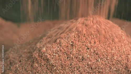 Wood sawdust is removed with a dustpan. Fresh, dry pine and pine sawdust piled in a heap. Wood waste after wood production at the sawmill. Mulch.