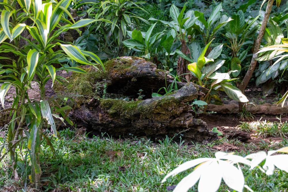 Obraz premium IMG_0290