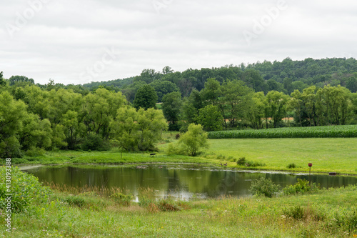 Fototapeta Naklejka Na Ścianę i Meble -  Lake in the Countryside